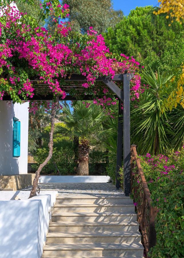 Villa Mary'S Holiday House Pefki Exterior foto